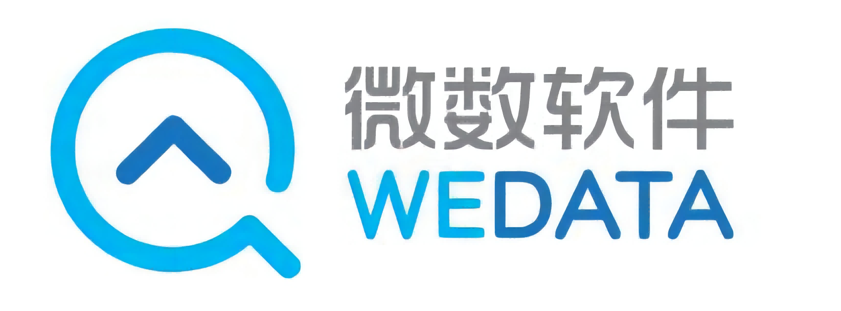 微(wēi)數(shù)軟件(jiàn)LOGO(1)(1).png
